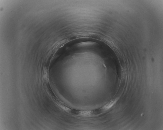 X0000076430143200610271742