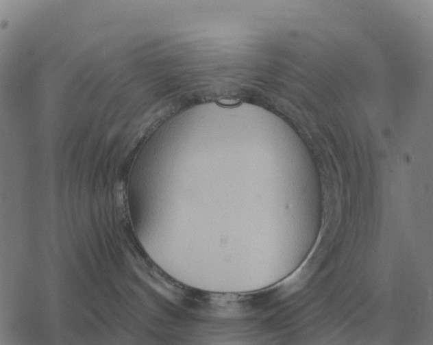 X0000076430144200610271742