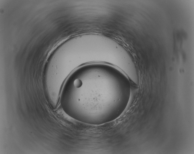 X0000076430146200610271742