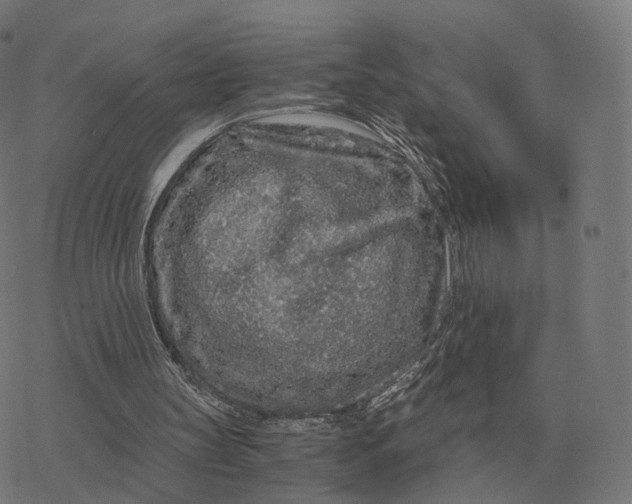 X0000076430147200610271742