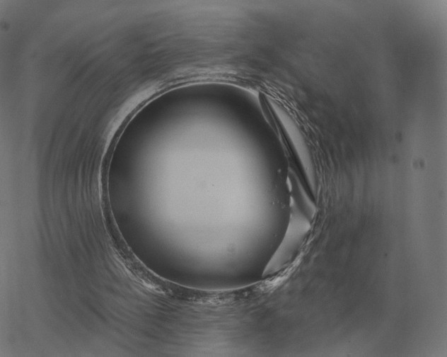 X0000076430148200610271742