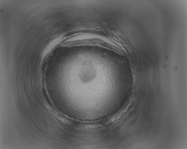 X0000076430149200610271742