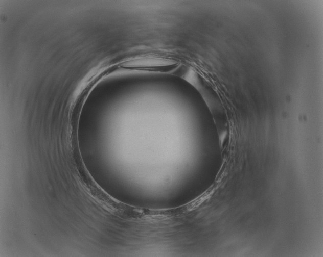 X0000076430150200610271742