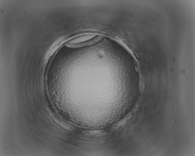 X0000076430151200610271742