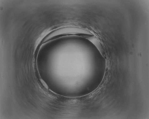 X0000076430152200610271742