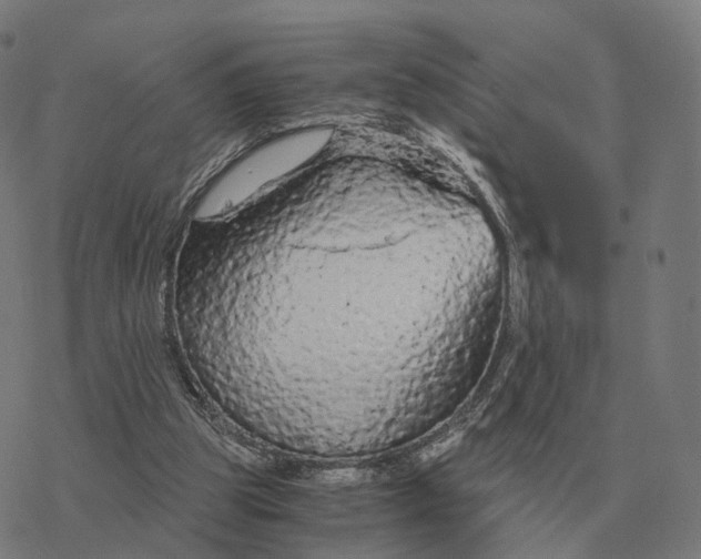 X0000076430153200610271742