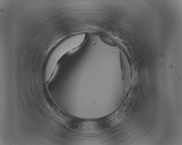 X0000076430154200610271742