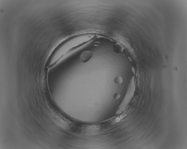 X0000076430156200610271742