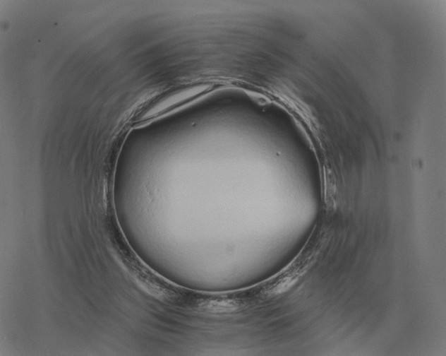 X0000076430157200610271742