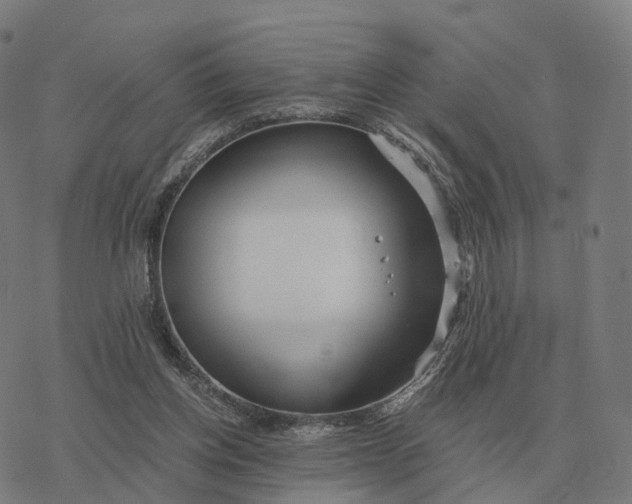 X0000076430158200610271742