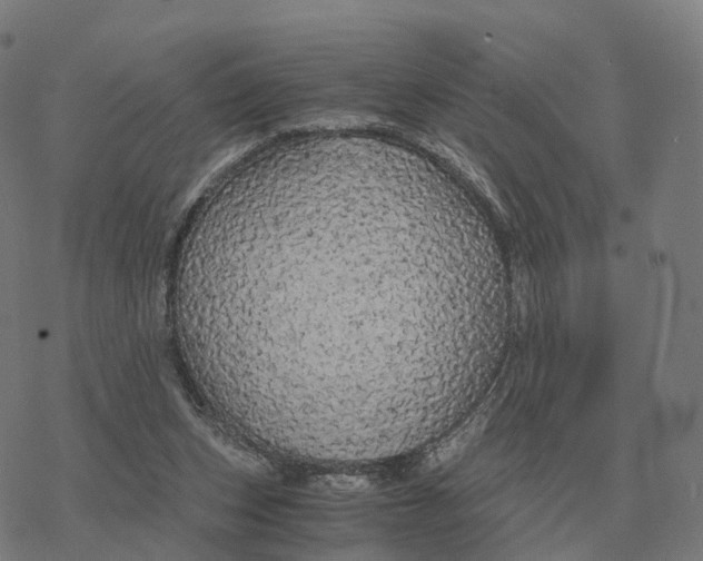 X0000076430159200610271742