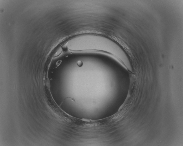 X0000076430160200610271742