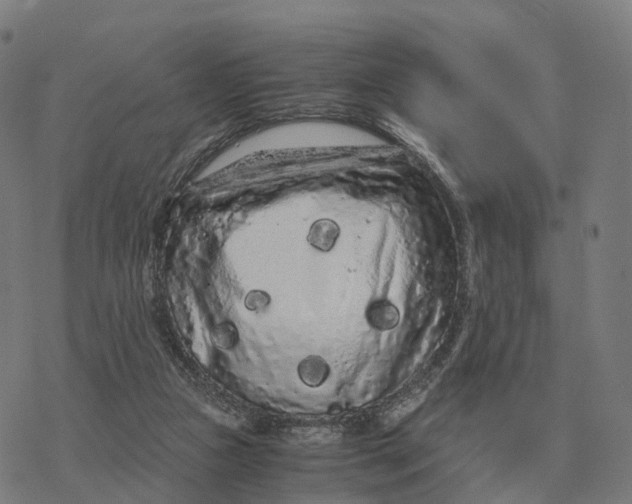 X0000076430161200610271742