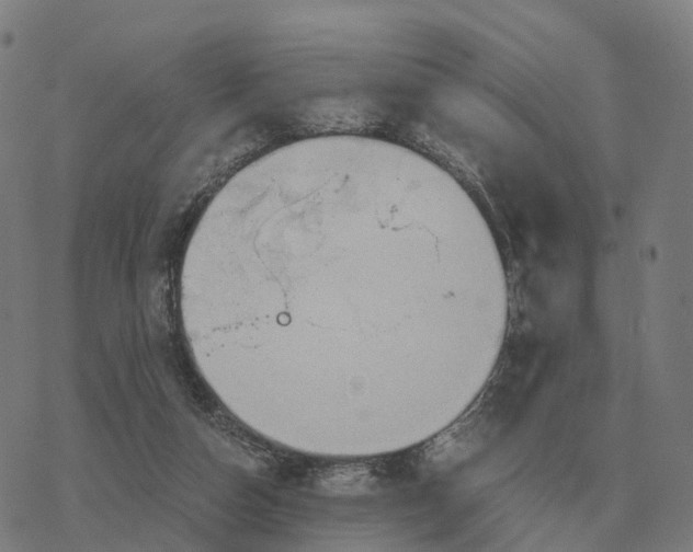 X0000076430162200610271742