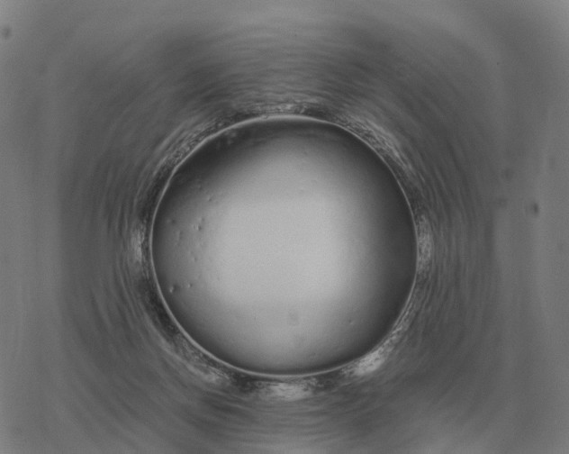 X0000076430166200610271742