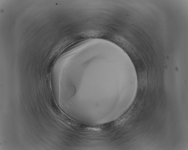 X0000076430167200610271742