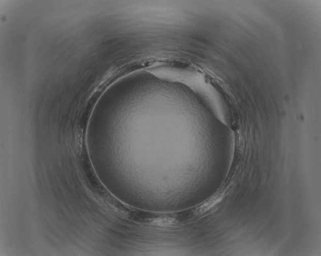 X0000076430168200610271742