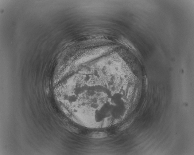 X0000076430169200610271742