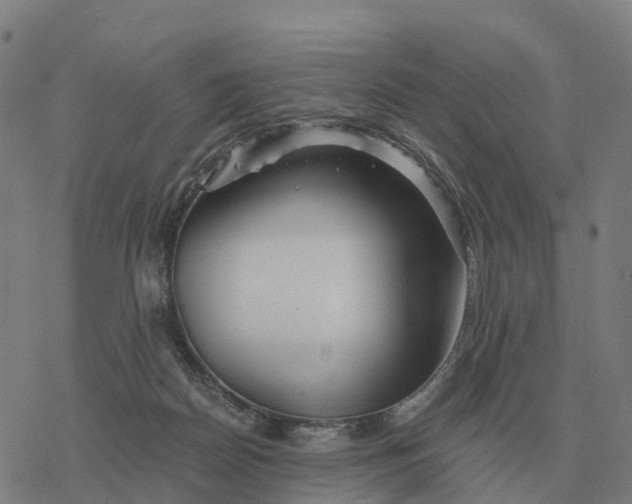 X0000076430170200610271742