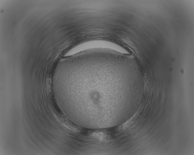 X0000076430171200610271742