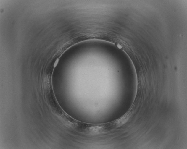 X0000076430172200610271742