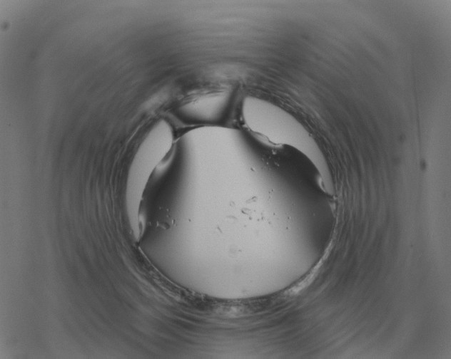 X0000076430174200610271742