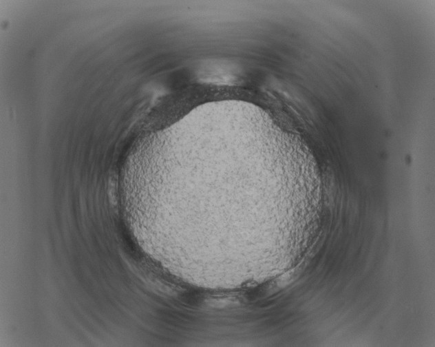 X0000076430175200610271742