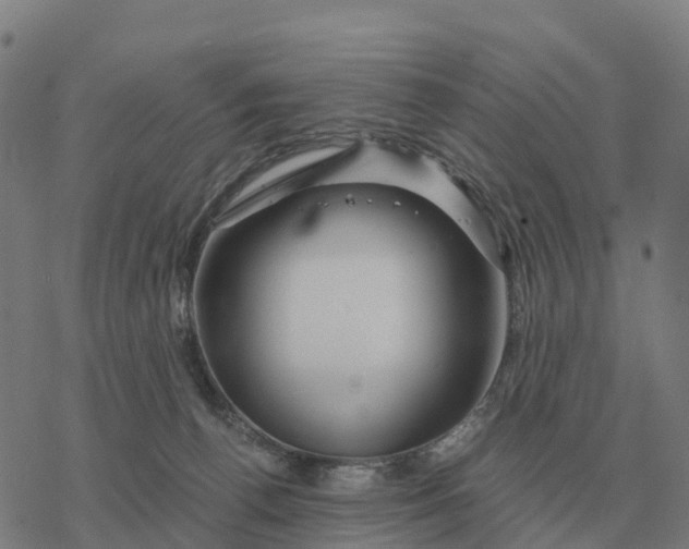 X0000076430176200610271742