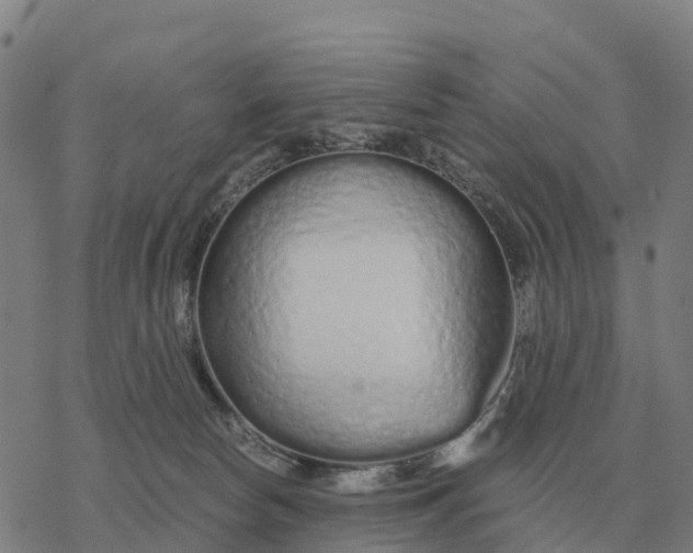 X0000076430178200610271742