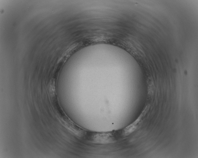 X0000076430179200610271742