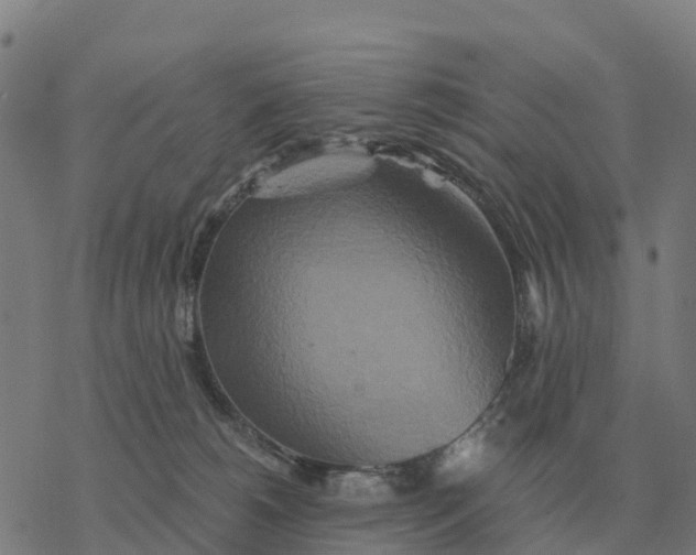 X0000076430180200610271742