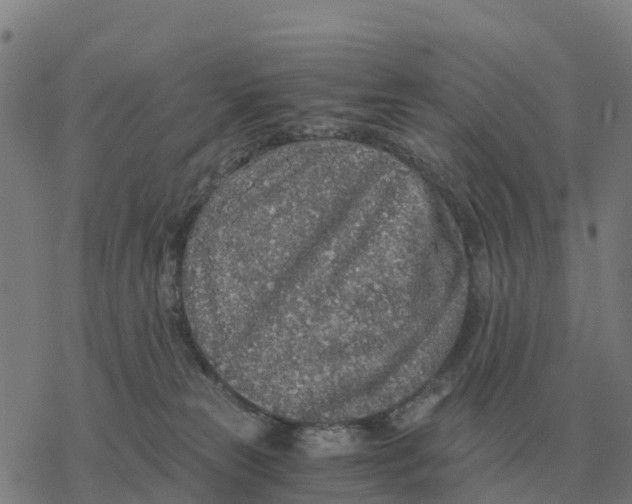 X0000076430181200610271742