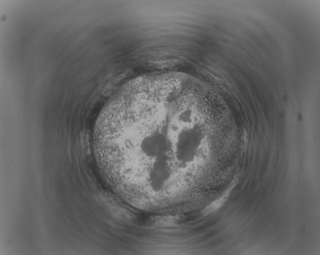 X0000076430182200610271742