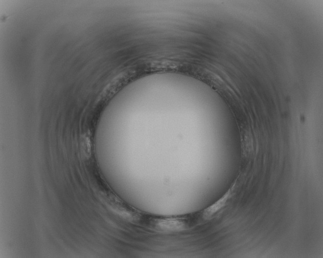 X0000076430183200610271742