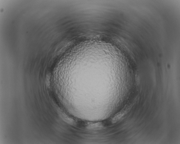 X0000076430185200610271742