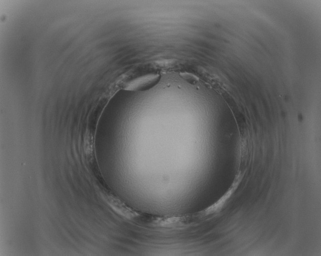 X0000076430186200610271742