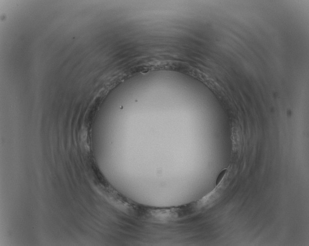 X0000076430187200610271742