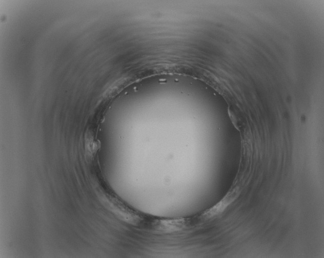 X0000076430188200610271742