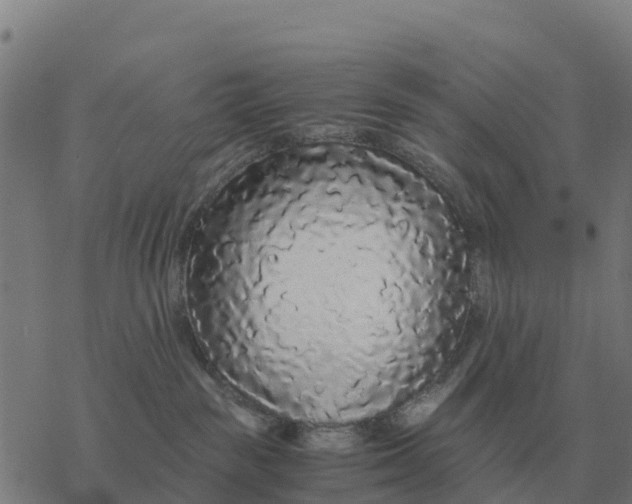 X0000076430189200610271742