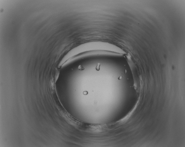 X0000076430190200610271742