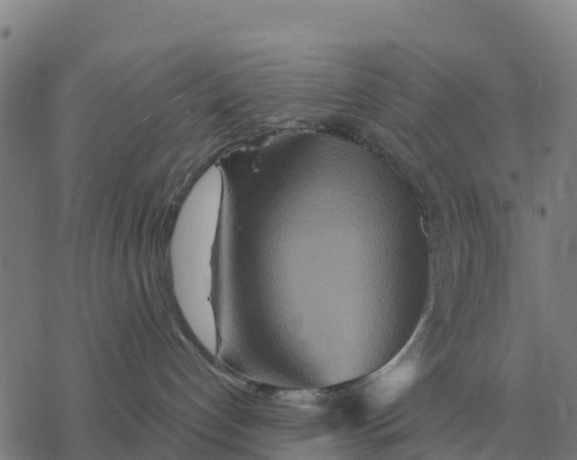 X0000076430192200610271742