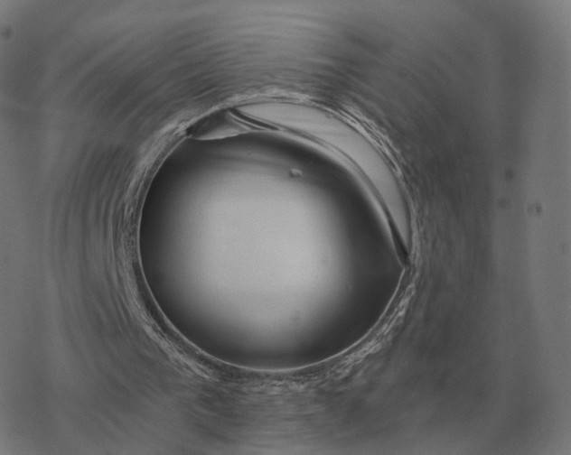 X0000076430193200610271742