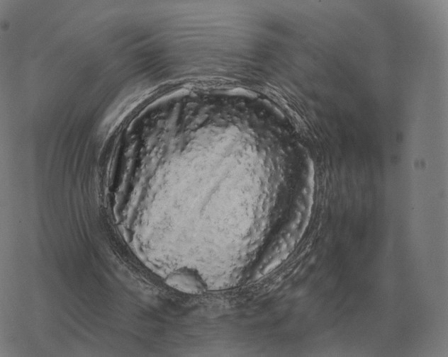 X0000076430194200610271742