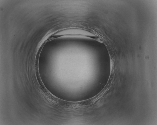 X0000076430195200610271742