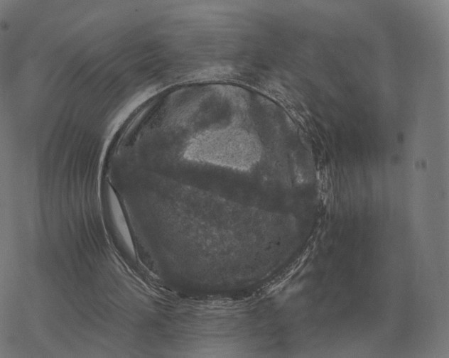 X0000076430196200610271742