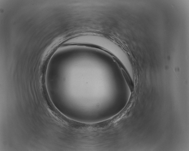 X0000076430197200610271742