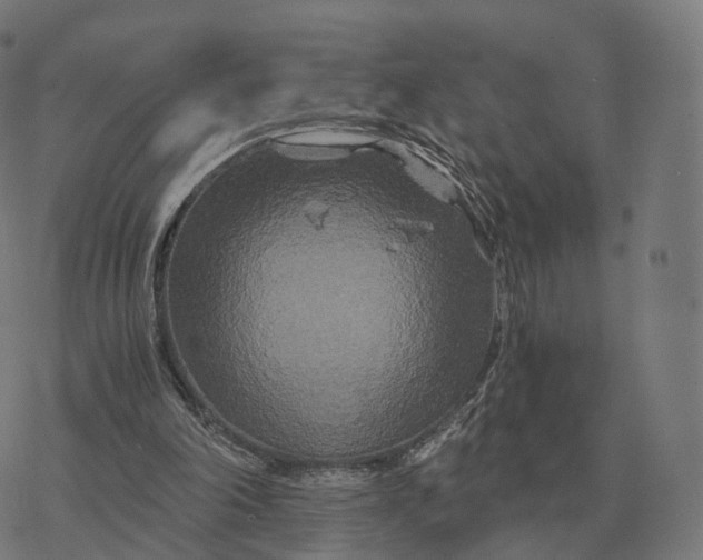 X0000076430198200610271742