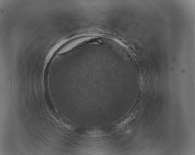 X0000076430200200610271742