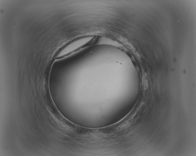 X0000076430201200610271742