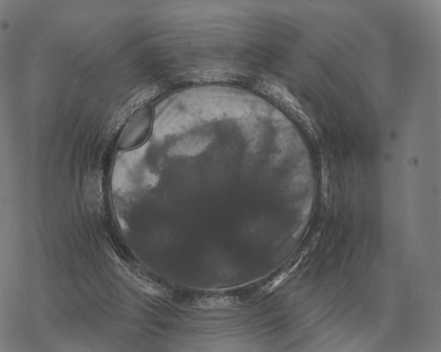 X0000076430202200610271741